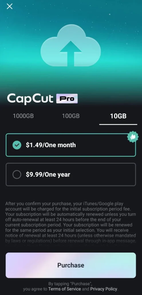 CapCut Pro Plans Costs 10 gb Space